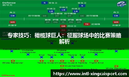 专家技巧：橄榄球巨人：征服球场中的比赛策略解析