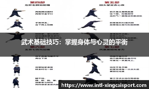武术基础技巧：掌握身体与心灵的平衡